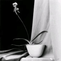 Fan Li