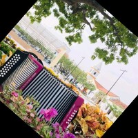 María Esthela Fragozo Villarruel