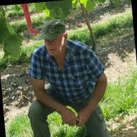Graeme Matthews