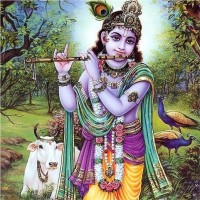 Karthik R