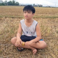 Phong Ngo Si