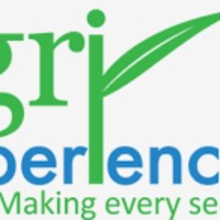 MBA DAVID VINCENT TEMBA