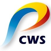 Creative Web Solution (CWS)