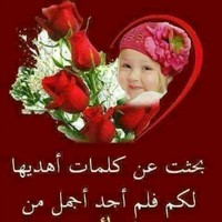 mohamed bahloul