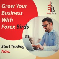Anshu Forexbirds