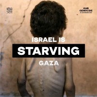 Noufal Hameed, Ph.D.