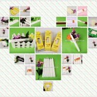 Anne candle