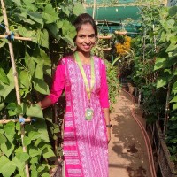 Geethashree S G