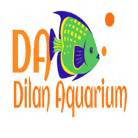 DILAN AQUARIUM