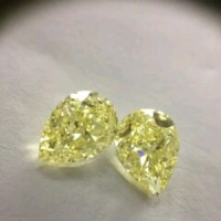 Dharmendra Rajyaguru