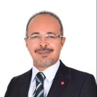 Husam Ereibi