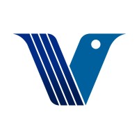 VEFI Consulting Business