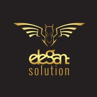 Elegant Solution