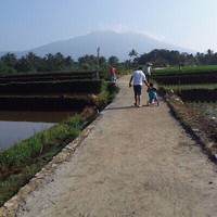 Botak Bonar