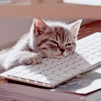 Vagabundo Não Quer Nada