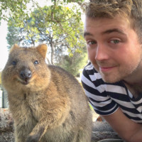 Joey Pocket