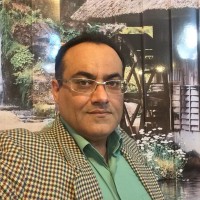 emad emadi