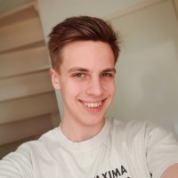 Stijn van der Meulen