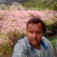 luciano alves pereira