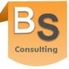 BS Consulting