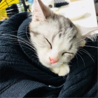 尹秋红