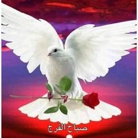 Ahmed Mohamed