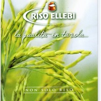 VINCENZO BIFULCO