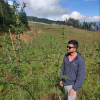 Arjun Giri