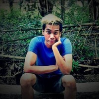 Robert Vlad Pernecita