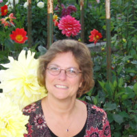 Kathy Senger