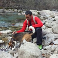 Néstor Ferrer Imañas