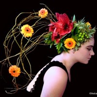 Eugénie Myosotis Aigret