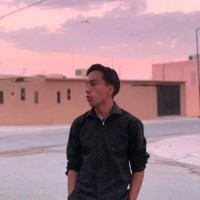 brayton Meléndez venegas