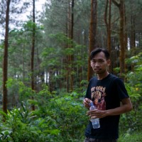 Saifullah Noor