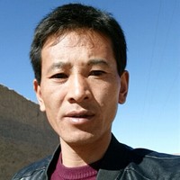 何振庭