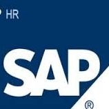 Srinivas HCM Consultant