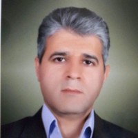 hossein mousavi