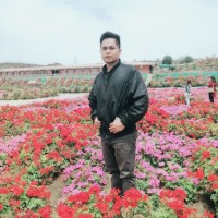 Joel Custodio