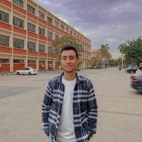 Abdallah F. Abdallah