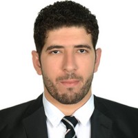 Ahmed Shaltout