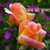 Satyanarayan Vijayvergiya