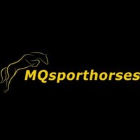 MQ Sporthorses