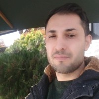 Hamed Soli