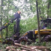 Devriesforestcare Dennis De Vries