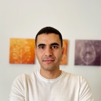 Osama Nagieb