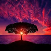 nagarajan janardhanam