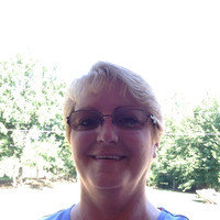Teresa Stout
