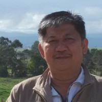 teh eng wang