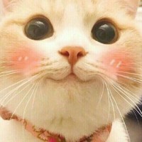 张榕容