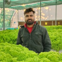 Aditya Prakash Mehta //